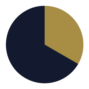 Stats Image